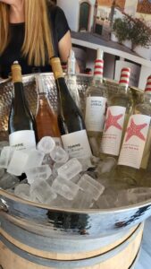 Portugal Summer Wines, Juni 2023